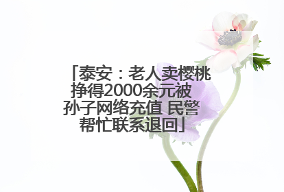 泰安：老人卖樱桃挣得2000余元被孙子网络充值 民警帮忙联系退回