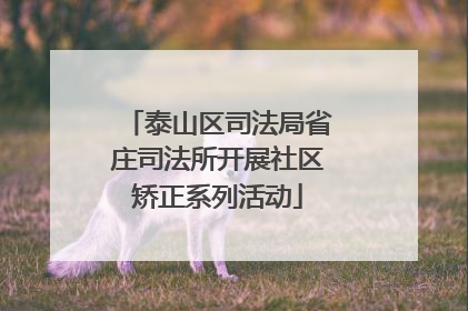 泰山区司法局省庄司法所开展社区矫正系列活动