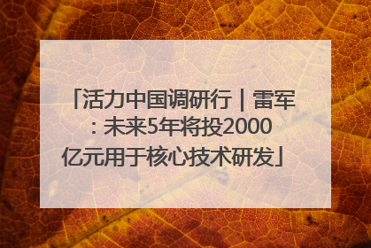 活力中国调研行｜雷军：未来5年将投2000亿元用于核心技术研发