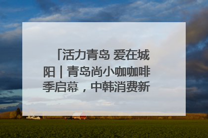 活力青岛 爱在城阳｜青岛尚小咖咖啡季启幕，中韩消费新场景点燃夏日热情