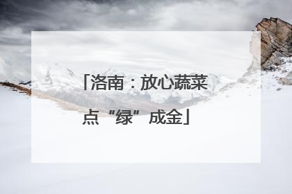 洛南：放心蔬菜点“绿”成金