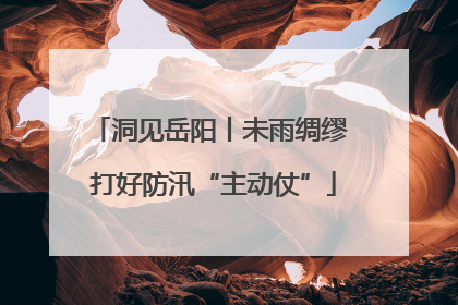 洞见岳阳丨未雨绸缪 打好防汛“主动仗”