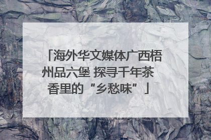 海外华文媒体广西梧州品六堡 探寻千年茶香里的“乡愁味”