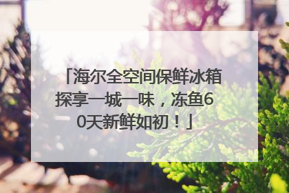 海尔全空间保鲜冰箱探享一城一味，冻鱼60天新鲜如初！