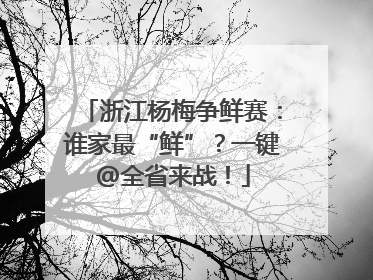 浙江杨梅争鲜赛：谁家最“鲜”？一键@全省来战！