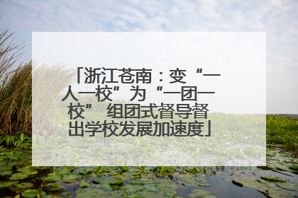 浙江苍南：变“一人一校”为“一团一校” 组团式督导督出学校发展加速度