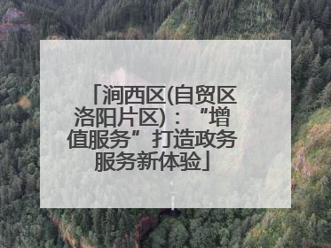 涧西区(自贸区洛阳片区)：“增值服务”打造政务服务新体验