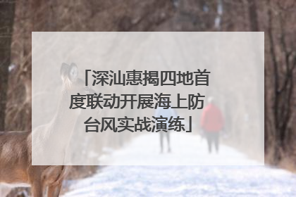 深汕惠揭四地首度联动开展海上防台风实战演练