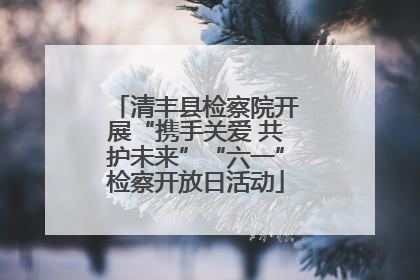 清丰县检察院开展“携手关爱 共护未来”“六一”检察开放日活动