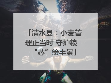 清水县：小麦管理正当时 守护粮“芯”绘丰景