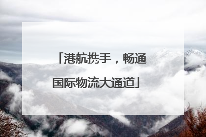 港航携手，畅通国际物流大通道