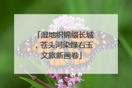 湿地织锦缀长城，苍头河染绿右玉文旅新画卷