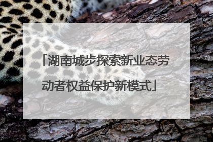 湖南城步探索新业态劳动者权益保护新模式