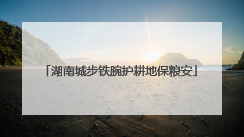 湖南城步铁腕护耕地保粮安