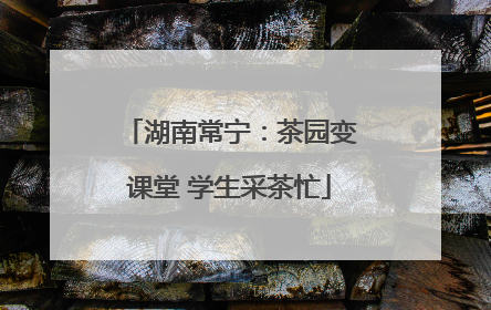 湖南常宁：茶园变课堂 学生采茶忙