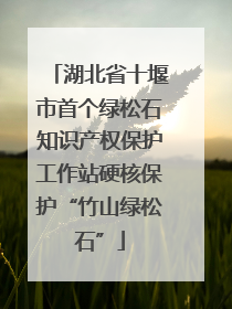 湖北省十堰市首个绿松石知识产权保护工作站硬核保护“竹山绿松石”