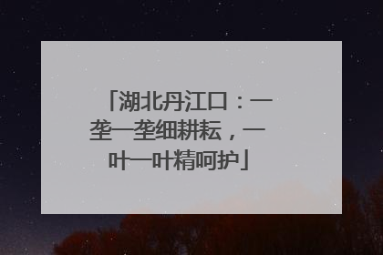 湖北丹江口：一垄一垄细耕耘，一叶一叶精呵护