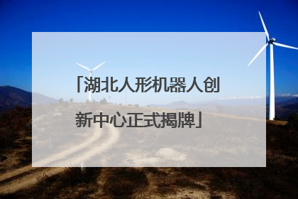湖北人形机器人创新中心正式揭牌