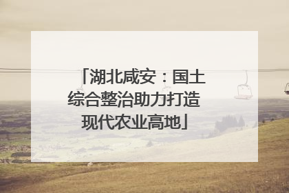 湖北咸安：国土综合整治助力打造现代农业高地