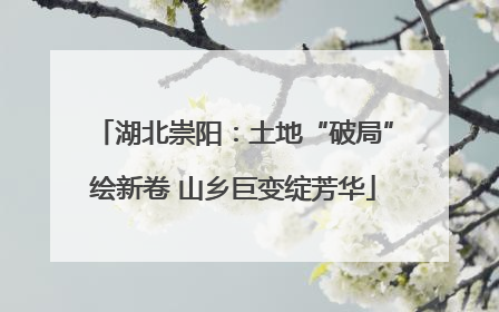 湖北崇阳：土地“破局”绘新卷 山乡巨变绽芳华