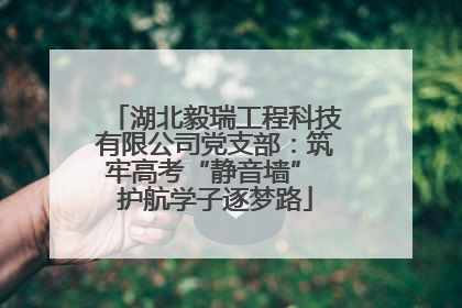 湖北毅瑞工程科技有限公司党支部：筑牢高考“静音墙” 护航学子逐梦路