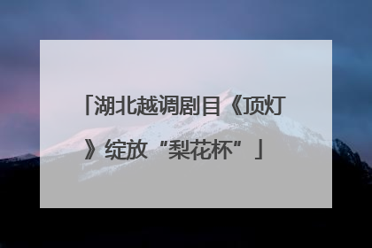 湖北越调剧目《顶灯》绽放“梨花杯”