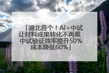 湖北首个！AI+中试让材料成果转化不再难 中试验证效率提升50%成本降低60%