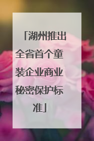 湖州推出全省首个童装企业商业秘密保护标准