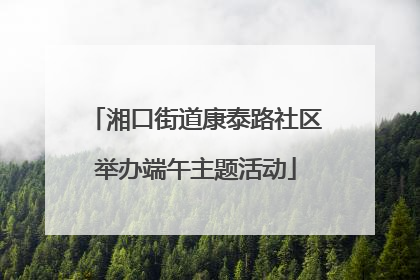 湘口街道康泰路社区举办端午主题活动