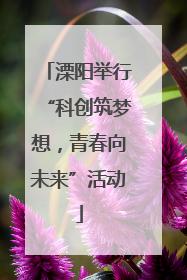 溧阳举行“科创筑梦想，青春向未来”活动