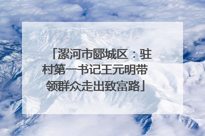 漯河市郾城区：驻村第一书记王元明带领群众走出致富路