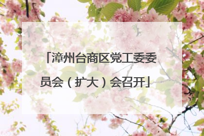 漳州台商区党工委委员会（扩大）会召开