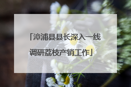 漳浦县县长深入一线调研荔枝产销工作