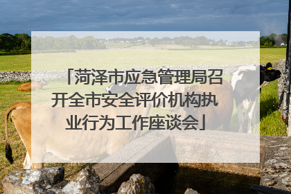菏泽市应急管理局召开全市安全评价机构执业行为工作座谈会