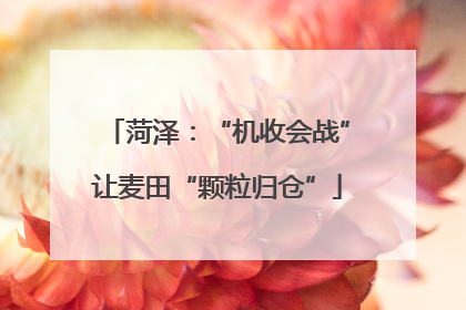 菏泽：“机收会战”让麦田“颗粒归仓”