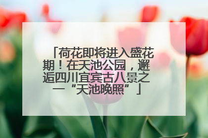 荷花即将进入盛花期！在天池公园，邂逅四川宜宾古八景之一“天池晚照”
