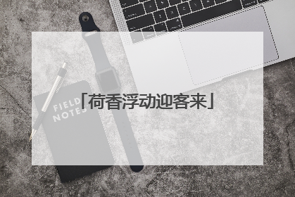 荷香浮动迎客来