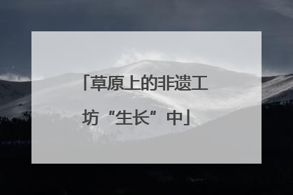 草原上的非遗工坊“生长”中