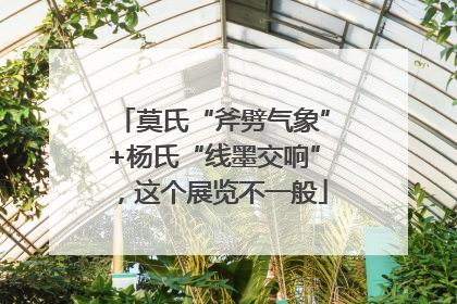 莫氏“斧劈气象”+杨氏“线墨交响”，这个展览不一般