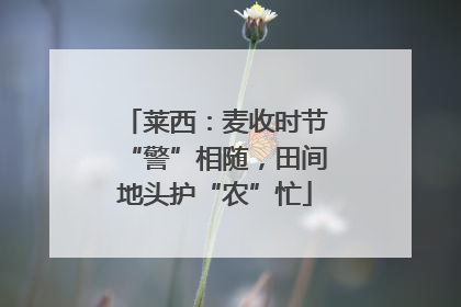 莱西：麦收时节“警”相随，田间地头护“农”忙