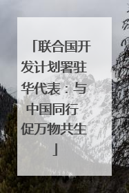 联合国开发计划署驻华代表：与中国同行 促万物共生
