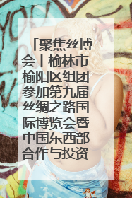 聚焦丝博会丨榆林市榆阳区组团参加第九届丝绸之路国际博览会暨中国东西部合作与投资贸易洽谈会
