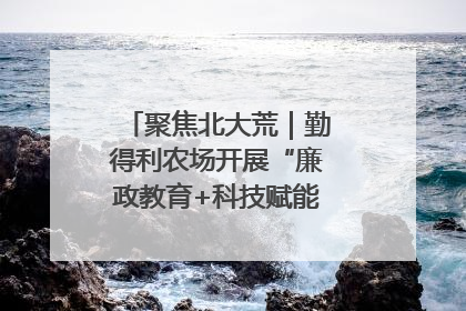 聚焦北大荒｜勤得利农场开展“廉政教育+科技赋能”主题党日活动