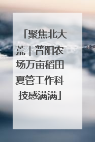聚焦北大荒｜普阳农场万亩稻田夏管工作科技感满满
