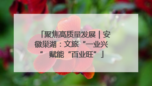 聚焦高质量发展｜安徽巢湖：文旅“一业兴” 赋能“百业旺”