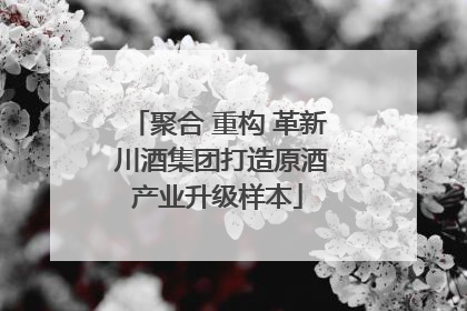 聚合 重构 革新 川酒集团打造原酒产业升级样本