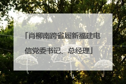 肖柳南跨省履新福建电信党委书记、总经理