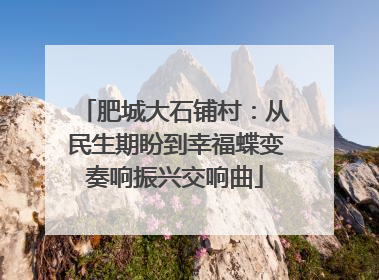 肥城大石铺村：从民生期盼到幸福蝶变奏响振兴交响曲