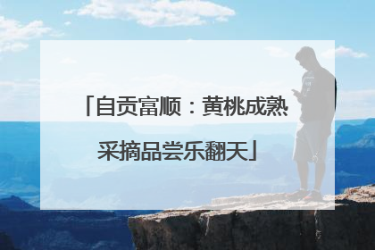 自贡富顺：黄桃成熟 采摘品尝乐翻天