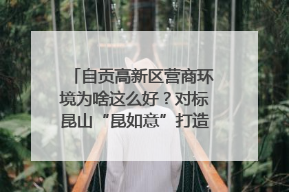 自贡高新区营商环境为啥这么好？对标昆山“昆如意”打造自贡“高兴办”｜美好生活有“盐”味